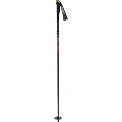 Sonic R1 trekking handle
