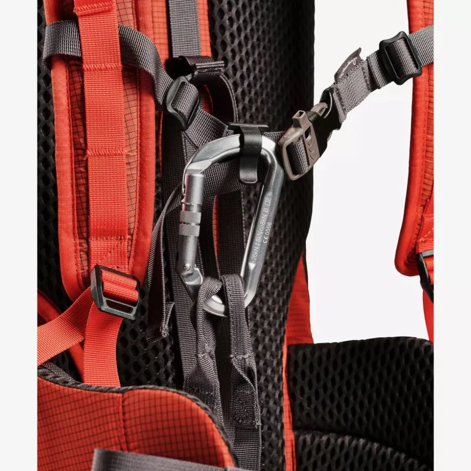 Torne Ice Light 25L